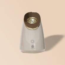 Load image into Gallery viewer, Nano Ionic Facial Steamer PurelivingPH