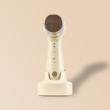 Load image into Gallery viewer, DUALUXE Facial Cleanser PurelivingPH