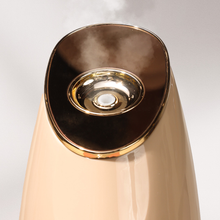 Load image into Gallery viewer, Nano Ionic Face Steamer
